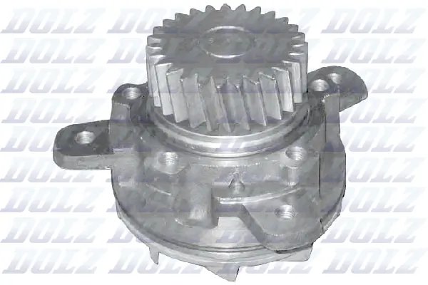 Pompa de apa DOLZ V207