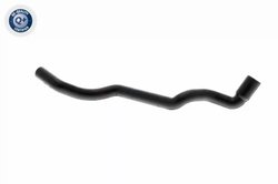 Furtun aerisire chiulasa VAICO V30-1612