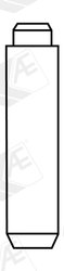 GHID SUPAPA AE VAG96126 - Compatibil cu MACK, RENAULT TRUCKS
