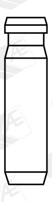 GHID SUPAPA AE VAG96247 - Compatibil cu BOVA, DAF, GINAF, GULERYUZ, IRIZAR, SOLARIS, TEMSA, VAN HOOL, VDL