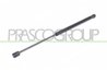 Amortizor portbagaj Prasco VG0169055