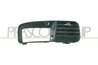 Grila ventilatie, bara protectie Prasco VG0172133