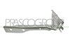 Balama capota motor Prasco VG0233703