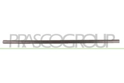 ELEMENTE DECORATIVE/PROTECTIE, PORTIERA PRASCO VG0341403 - Compatibil cu VW