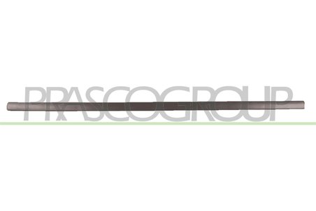 Elemente decorative/protectie, portiera Prasco VG0341403