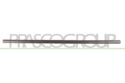 ELEMENTE DECORATIVE/PROTECTIE, PORTIERA PRASCO VG0341404 - Compatibil cu VW