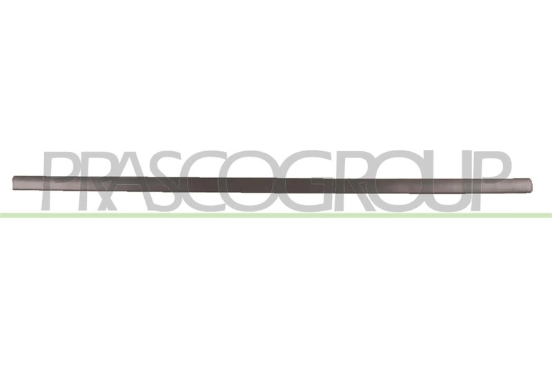 Elemente decorative/protectie, portiera Prasco VG0341404
