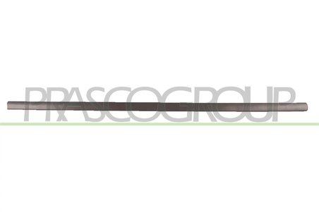 Elemente decorative/protectie, portiera Prasco VG0341404