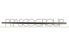 Elemente decorative/protectie, portiera Prasco VG0341404