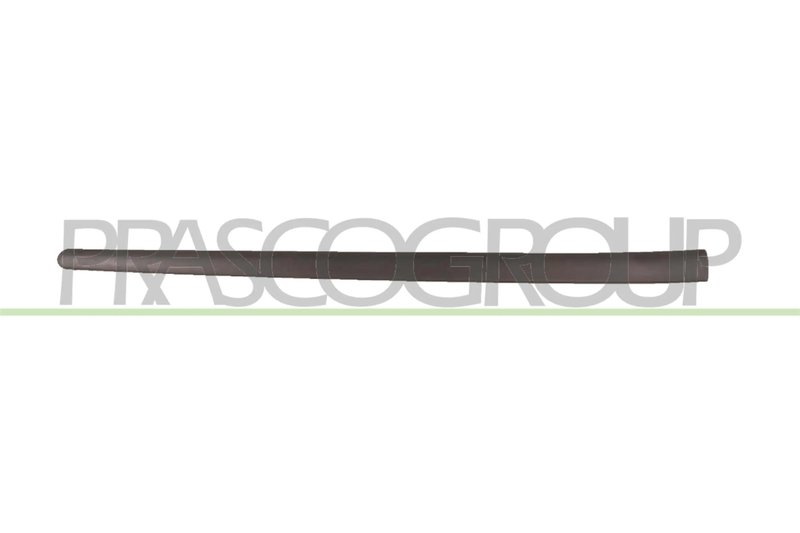 Elemente decorative/protectie, portiera Prasco VG0361403