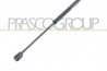 Amortizor portbagaj Prasco VG0369055