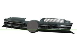 Grila radiator Prasco VG0382001