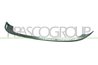 spoiler Prasco VG0401801