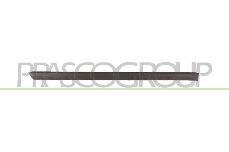 Elemente decorative/protectie, portiera Prasco VG0521453