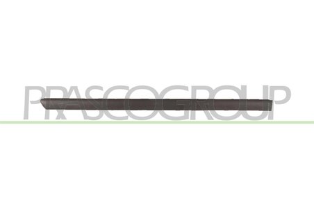 Elemente decorative/protectie, portiera Prasco VG0521453
