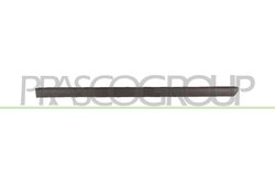 ELEMENTE DECORATIVE/PROTECTIE, PORTIERA PRASCO VG0521454 - Compatibil cu VW
