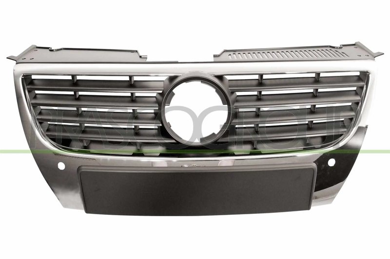 Grila radiator Prasco VG0542021