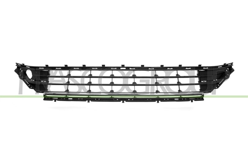 Grila ventilatie, bara protectie Prasco VG4042130