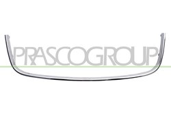 RAMA, GRILA RADIATOR PRASCO VG5202226 - Compatibil cu VW