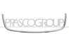 Rama, grila radiator Prasco VG5202226