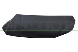 Capota motor Prasco VG8073100