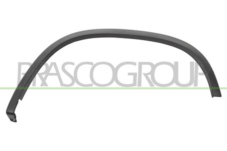 Elemente decorative/protectie, aripa Prasco VG8091584