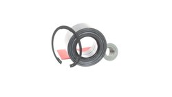 Set rulment roata SKF VKBA 3645