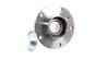 Set rulment roata SKF VKBA 3667