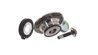 Set rulment roata SKF VKBA 6650
