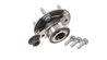 Set rulment roata SKF VKBA 6666