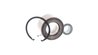 Set rulment roata SKF VKBA 6966