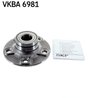 Set rulment roata SKF VKBA 6981