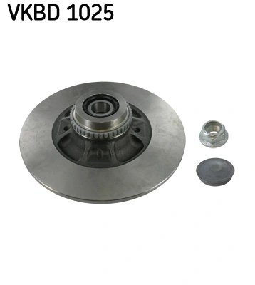 Disc frana SKF VKBD 1025