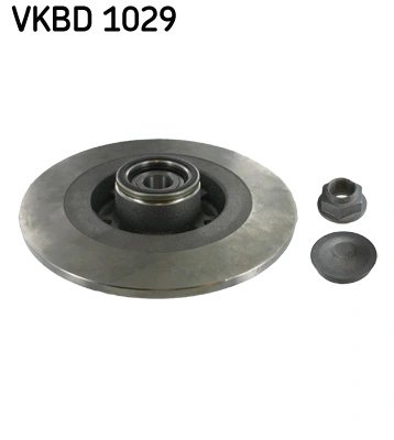 DISC FRANA SKF VKBD 1029 - Compatibil cu RENAULT