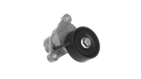 INTINZATOR CUREA DISTRIBUTIE SKF VKM 33113 - Compatibil cu CITROEN, DS, OPEL, PEUGEOT, TOYOTA, VAUXHALL
