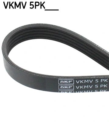 CUREA TRANSMISIE SKF VKMV 5PK1121 - Compatibil cu BMW, CITROEN, FIAT, JEEP, MITSUBISHI, NISSAN, OPEL, PEUGEOT, RENAULT, TOYOTA, 