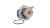 Pompa de apa SKF VKPC 81623