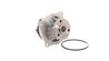 Pompa de apa SKF VKPC 84415