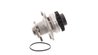 Pompa de apa SKF VKPC 86811