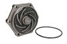 Pompa de apa Thermotec WP-DZ108
