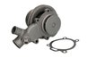 Pompa de apa Thermotec WP-MF103