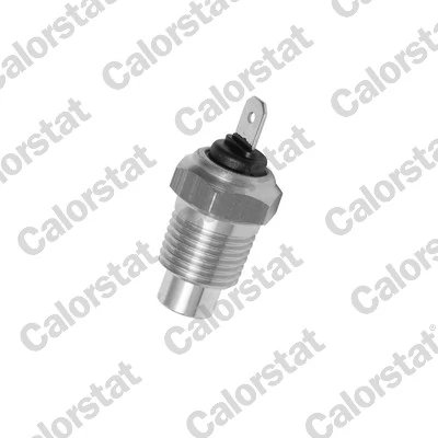 Senzor temperatura lichid racire Calorstat by Vernet WS2509