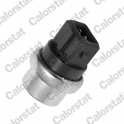 Senzor temperatura lichid racire Calorstat by Vernet WS2577
