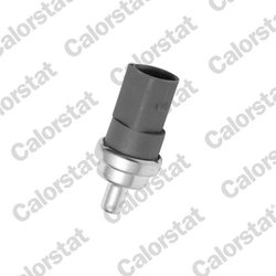 Senzor temperatura lichid racire Calorstat by Vernet WS2604