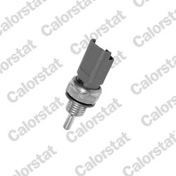 Senzor temperatura lichid racire Calorstat by Vernet WS2606