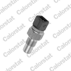 Senzor temperatura lichid racire Calorstat by Vernet WS2622