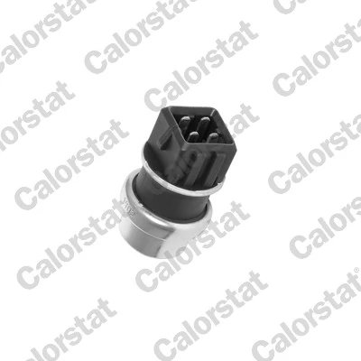 Senzor temperatura lichid racire Calorstat by Vernet WS2625