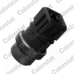 Senzor temperatura lichid racire Calorstat by Vernet WS2629