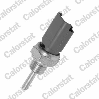Senzor temperatura lichid racire Calorstat by Vernet WS2633