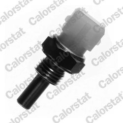Senzor temperatura lichid racire Calorstat by Vernet WS2674